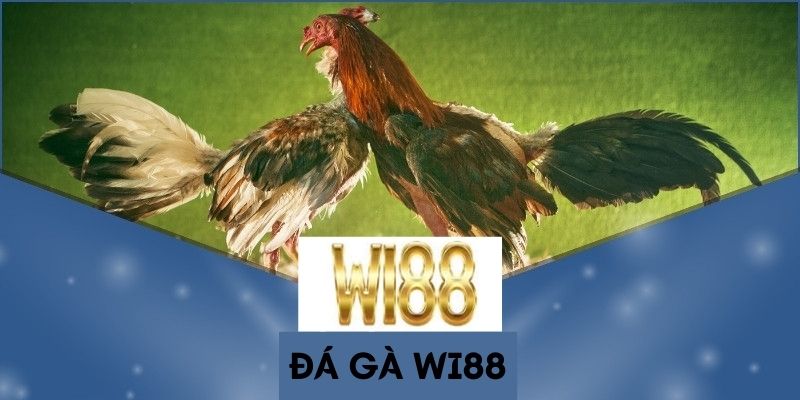 Đá Gà WI88