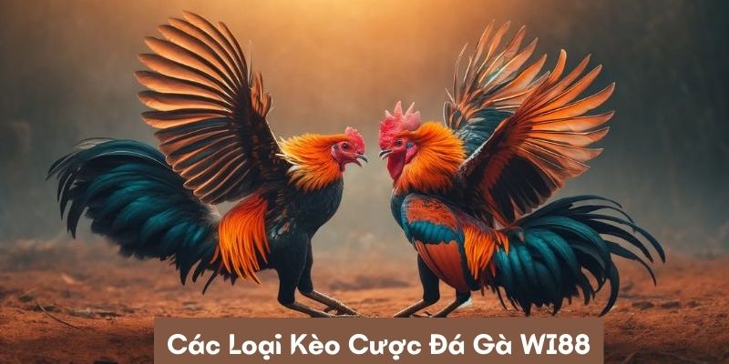 Trang Bị Những Kiến Thức Về Các Loại Kèo Cược Đá Gà WI88