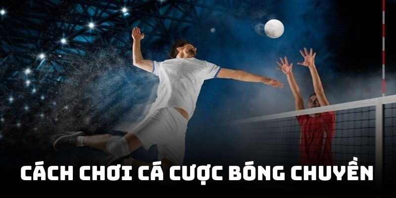 cá cược bóng chuyền